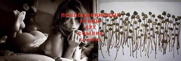 сатива Осташков