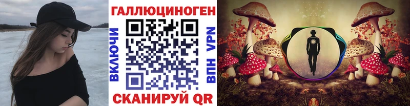 Псилоцибиновые грибы Cubensis Сланцы